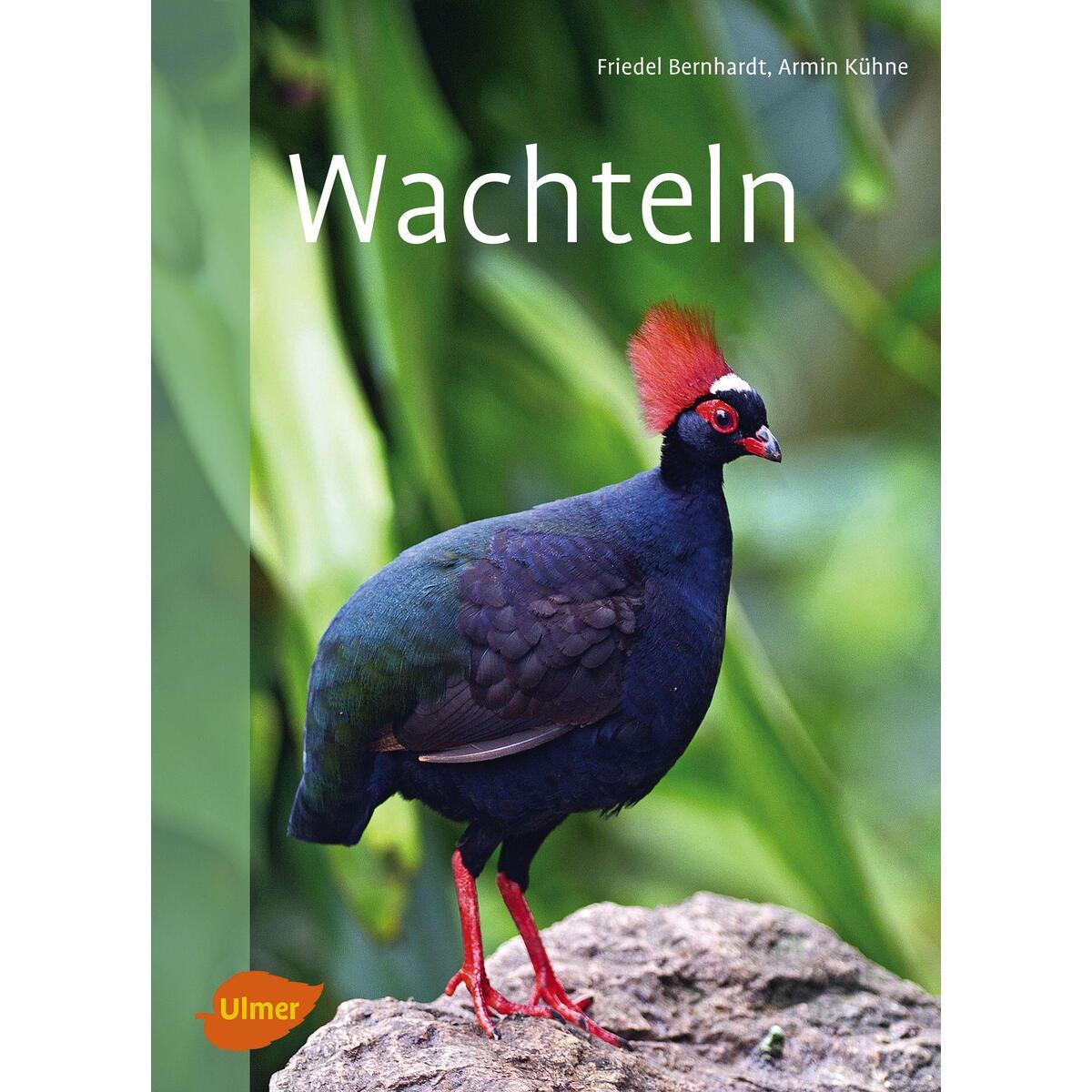 Wachteln von Ulmer Eugen Verlag