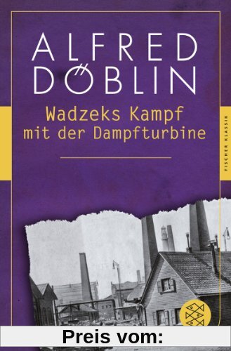 Wadzeks Kampf mit der Dampfturbine: Roman (Fischer Klassik)