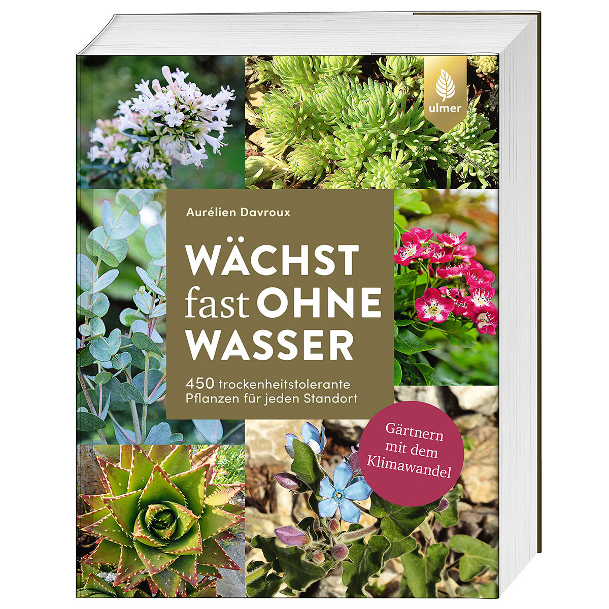 Wächst fast ohne Wasser Wächst fast ohne Wasser von Ulmer Eugen Verlag