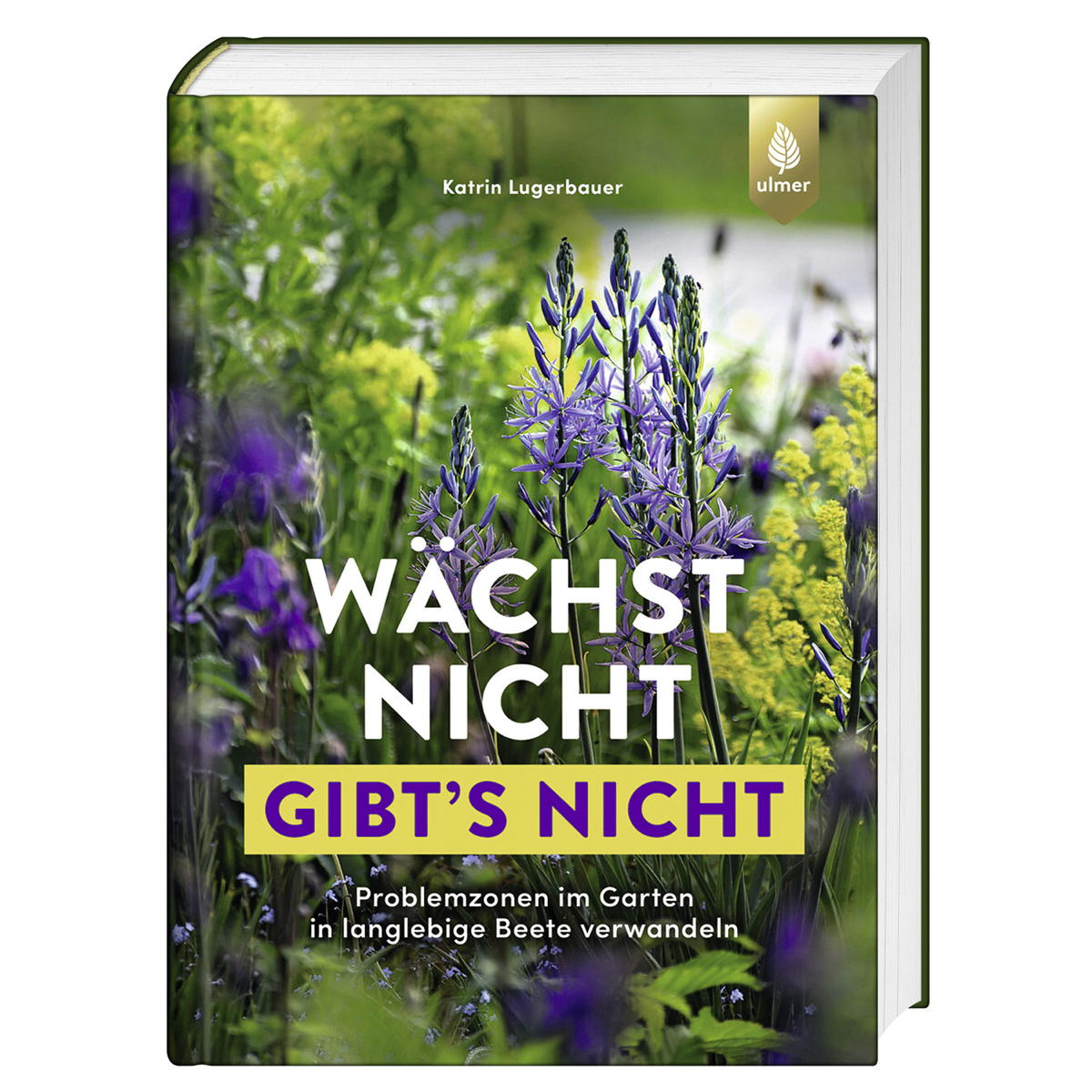 Wächst nicht gibt's nicht Wächst nicht gibt's nicht von Ulmer Eugen Verlag