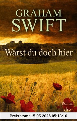 Wärst du doch hier: Roman