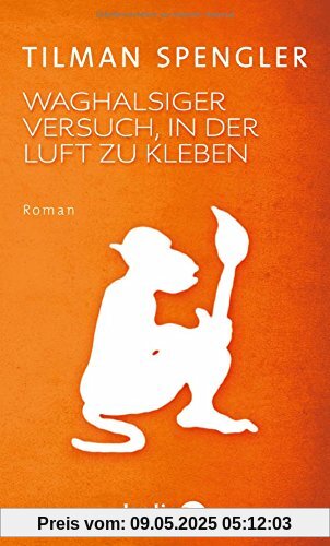 Waghalsiger Versuch, in der Luft zu kleben: Roman