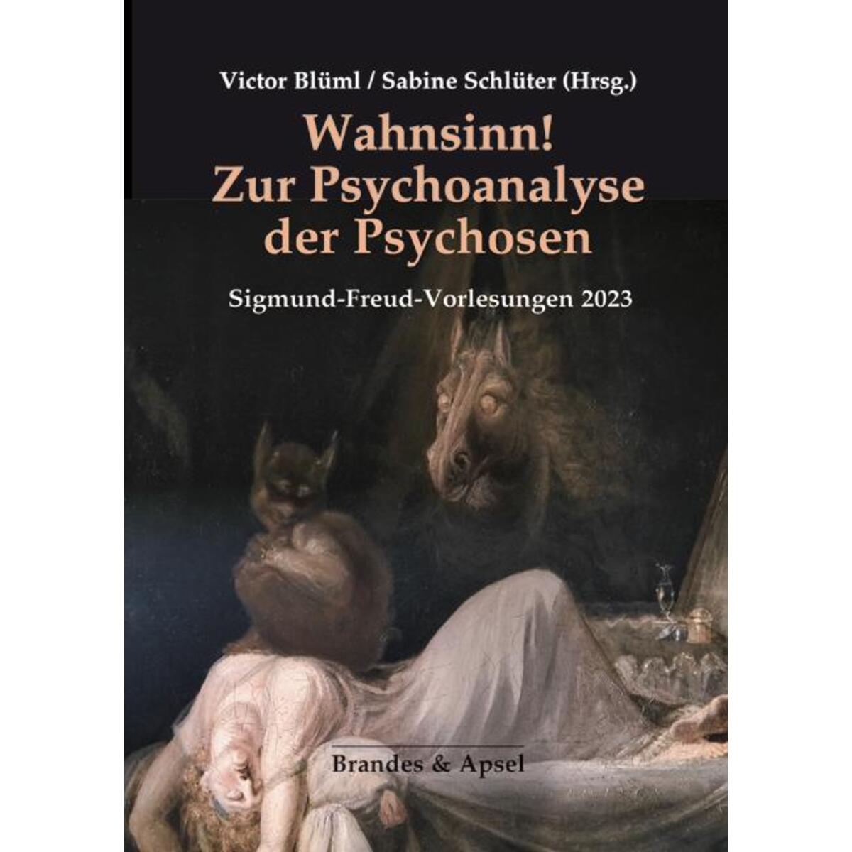 Wahnsinn! Zur Psychoanalyse der Psychosen von Brandes + Apsel Verlag Gm
