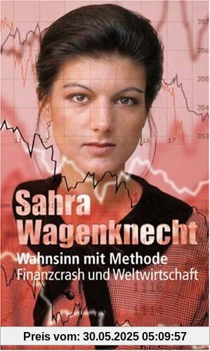 Wahnsinn mit Methode: Finanzcrash und Weltwirtschaft