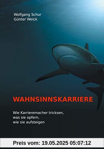 Wahnsinnskarriere: Wie Karrieremacher tricksen, was sie opfern, wie sie aufsteigen