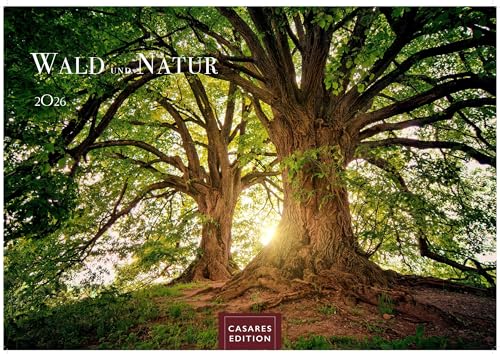 Wald + Natur 2026 L 35x50cm Wald + Natur 2026 L 35x50cm von CASARES EDITION