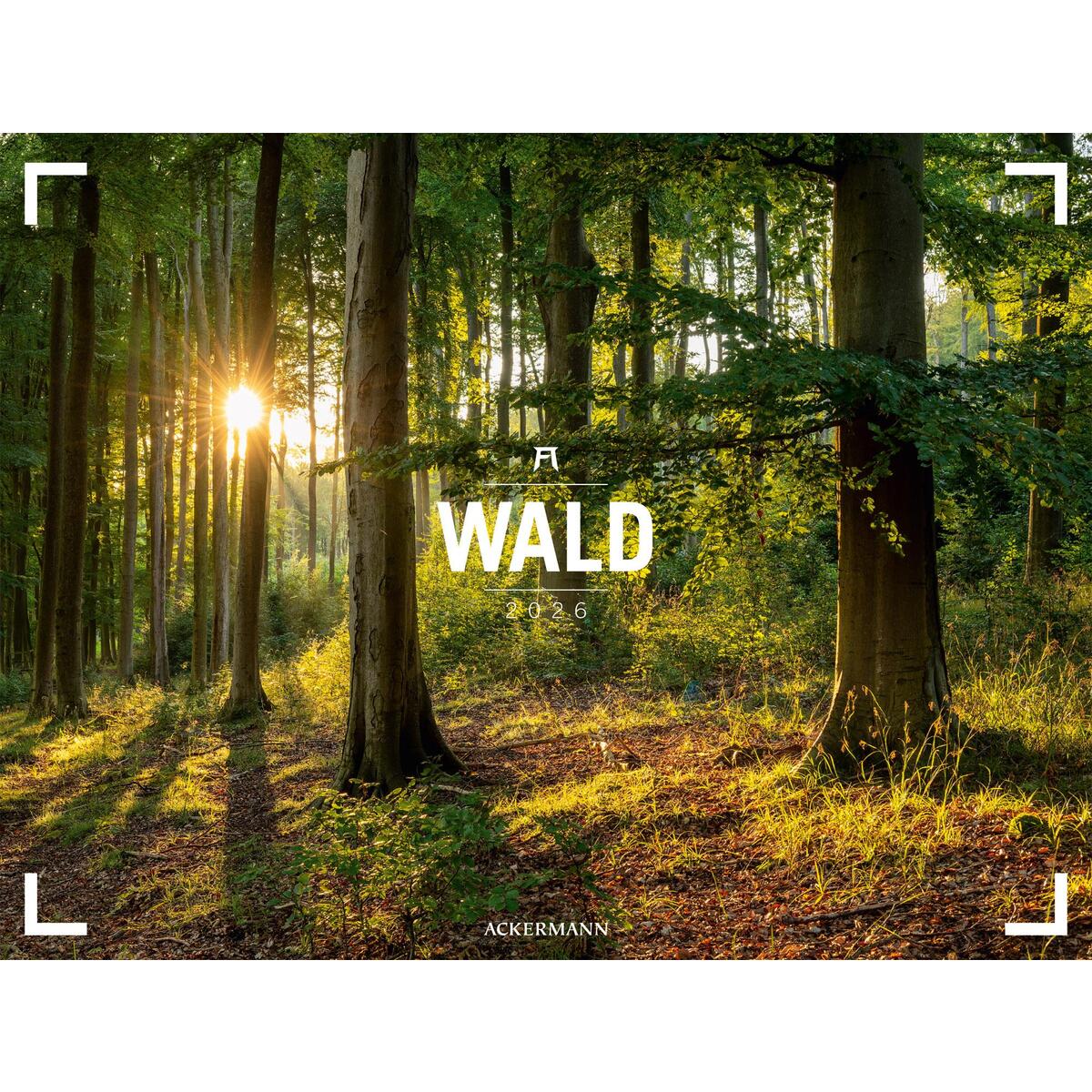 Wald - Ackermann Gallery Kalender 2026 Wald - Ackermann Gallery Kalender 2026 von Ackermann Kunstverlag