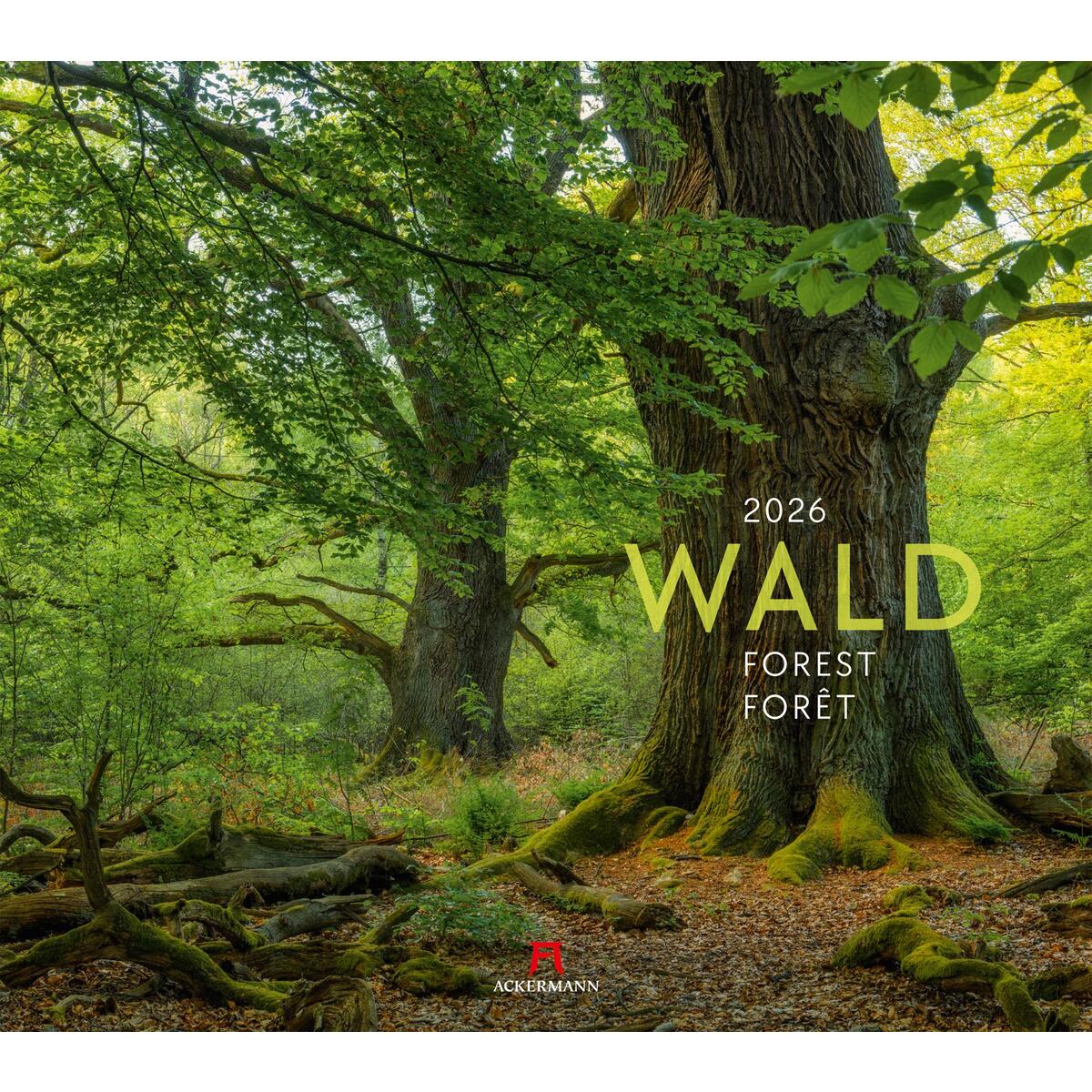 Wald Kalender 2026 Wald Kalender 2026 von Ackermann Kunstverlag