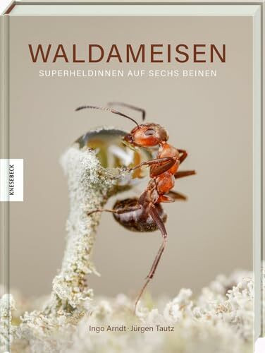 Waldameisen: Superheldinnen auf sechs Beinen. Naturfotografie-Bildband mit einmaligen Einblick... Waldameisen: Superheldinnen auf sechs Beinen. Naturfotografie-Bildband mit einmaligen Einblick...