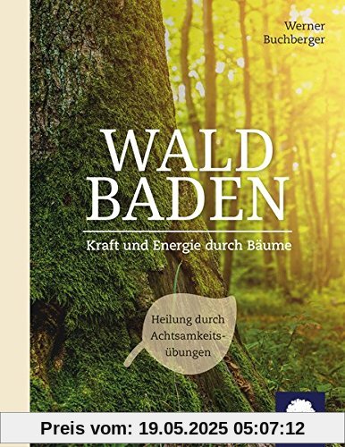 Waldbaden: Kraft und Energie durch Bäume