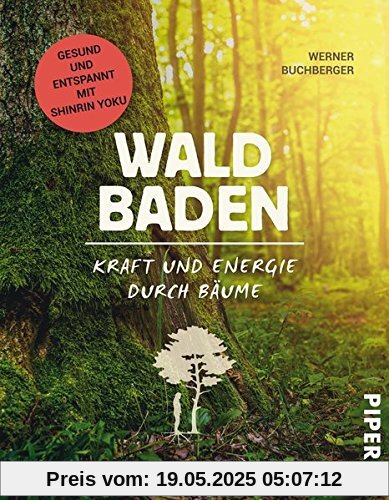 Waldbaden: Kraft und Energie durch Bäume