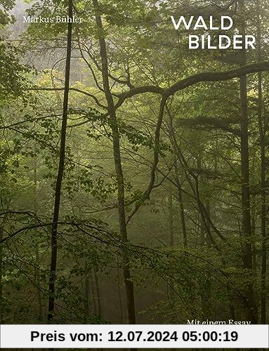 Waldbilder: Mit einem Essay von Peter Stamm