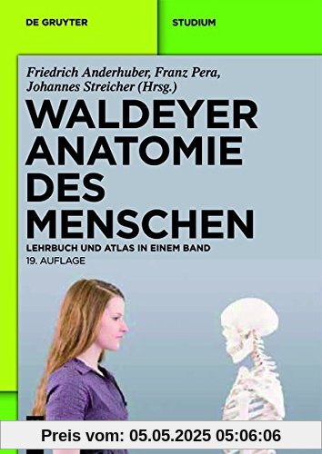 Waldeyer - Anatomie des Menschen: Lehrbuch und Atlas in einem Band (De Gruyter Studium)