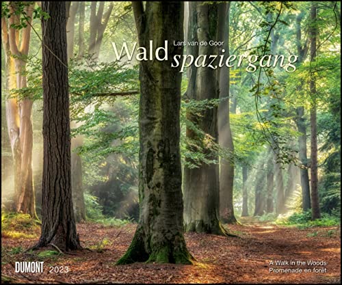 Waldspaziergang 2023 – Fotokunst-Kalender – Querformat 60 x 50 cm – Spiralbindung von Dumont Kalenderverlag