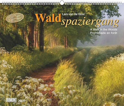 Waldspaziergang 2026 – Fotokunst-Kalender – Querformat 60 x 50 cm – Spiralbindung: A walk in the Woods Promenade en foret von DUMONT