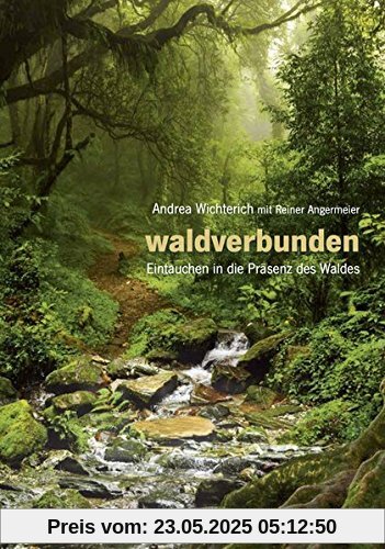 Waldverbunden: Eintauchen in die Präsenz des Waldes Waldverbunden: Eintauchen in die Präsenz des Waldes