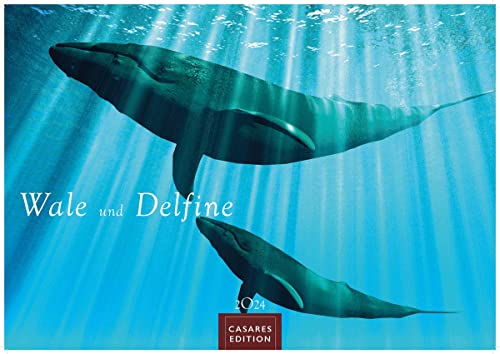 Wale und Delfine 2024 L 35x50cm Wale und Delfine 2024 L 35x50cm von CASARES EDITION