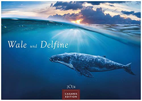 Wale und Delfine 2024 S 24x35cm von CASARES EDITION