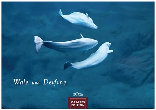 Wale und Delfine 2026 S 24x35cm von CASARES EDITION