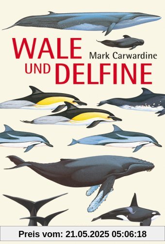 Wale und Delfine