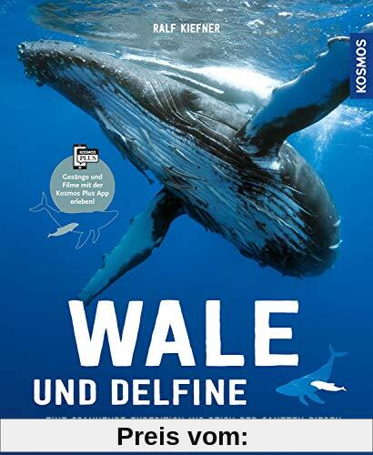 Wale & Delfine: Eine spannende Expedition ins Reich der sanften Riesen