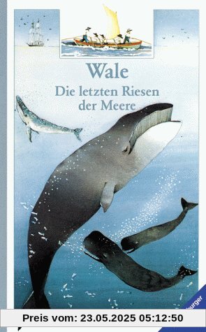 Wale. Die letzten Riesen der Meere. Die Welt entdecken. ( Ab 8 J.)