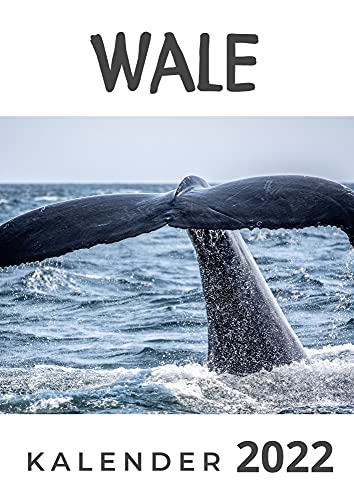 Wale: Kalender 2022 von 27 Amigos