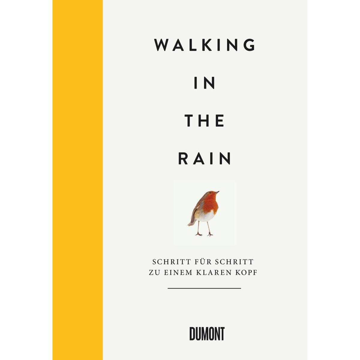 Walking in the Rain von DuMont Buchverlag GmbH