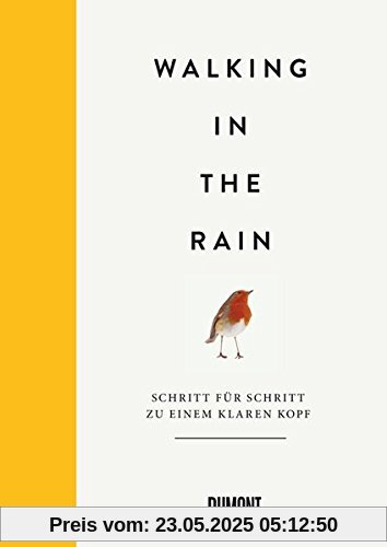 Walking in the Rain: Schritt für Schritt zu einem klaren Kopf