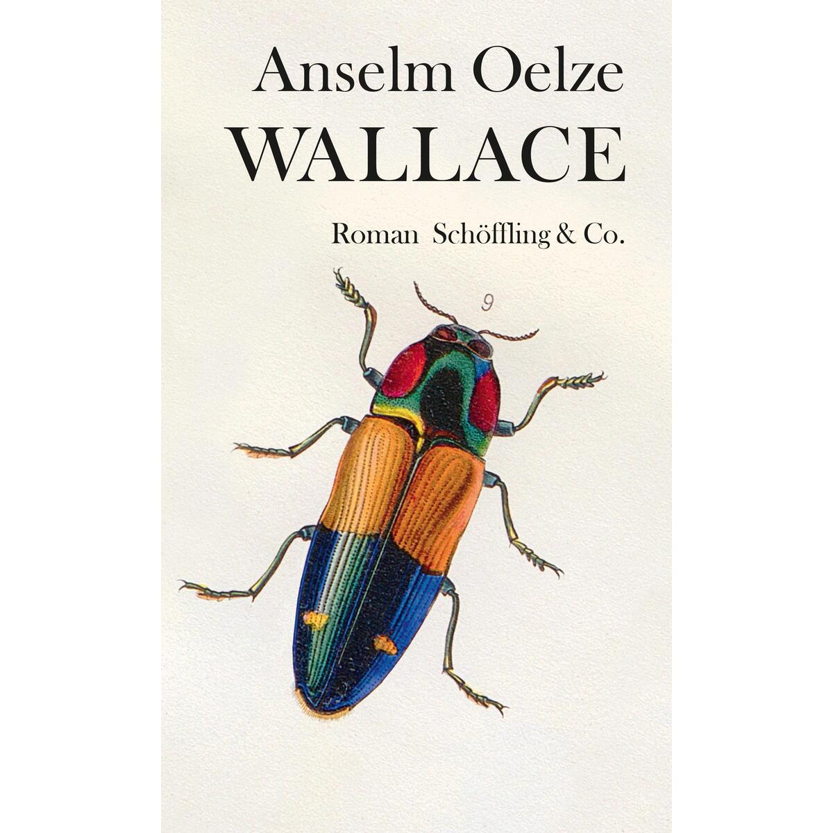 Wallace von Schoeffling + Co.