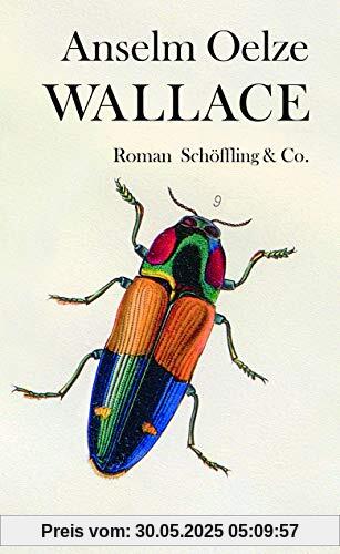 Wallace: Roman Wallace: Roman