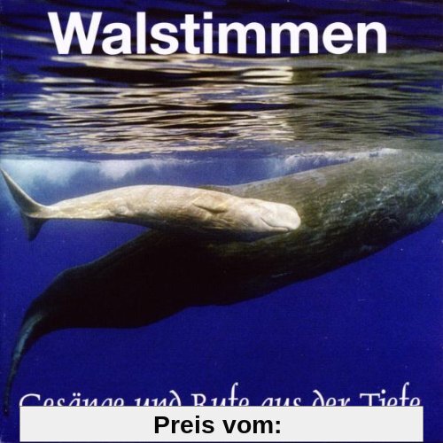 Walstimmen. Gesänge und Rufe aus der Tiefe. CD