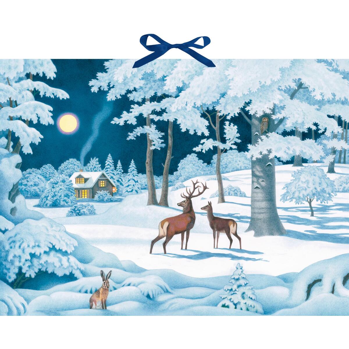 Wand-Adventskalender - Wintertiere bei Nacht Wand-Adventskalender - Wintertiere bei Nacht von Coppenrath