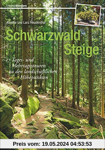 Wanderführer Schwarzwald: 17 Tages- und Mehrtagestouren zu den landschaftlichen Höhepunkten von Süd- und Nordschwarzwald. Mit Tagessteigen und Mehrtagestouren.