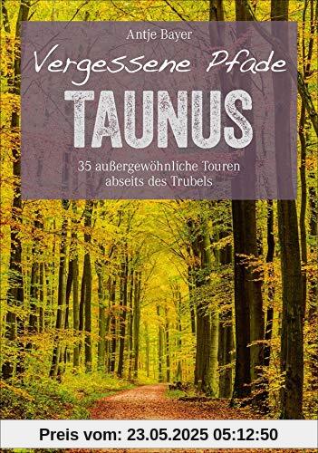 Wanderführer Taunus: 35 Touren abseits des Trubels im wunderschönen Taunus. Wandern auf vergessenen Pfaden mit Panorama, Gipfeltouren und ebenen Rundwegen (Erlebnis Wandern)