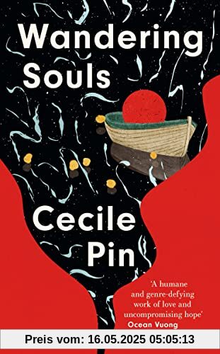 Wandering Souls: a heartbreaking literary debut – 'A mighty achievement' Ocean Vuong