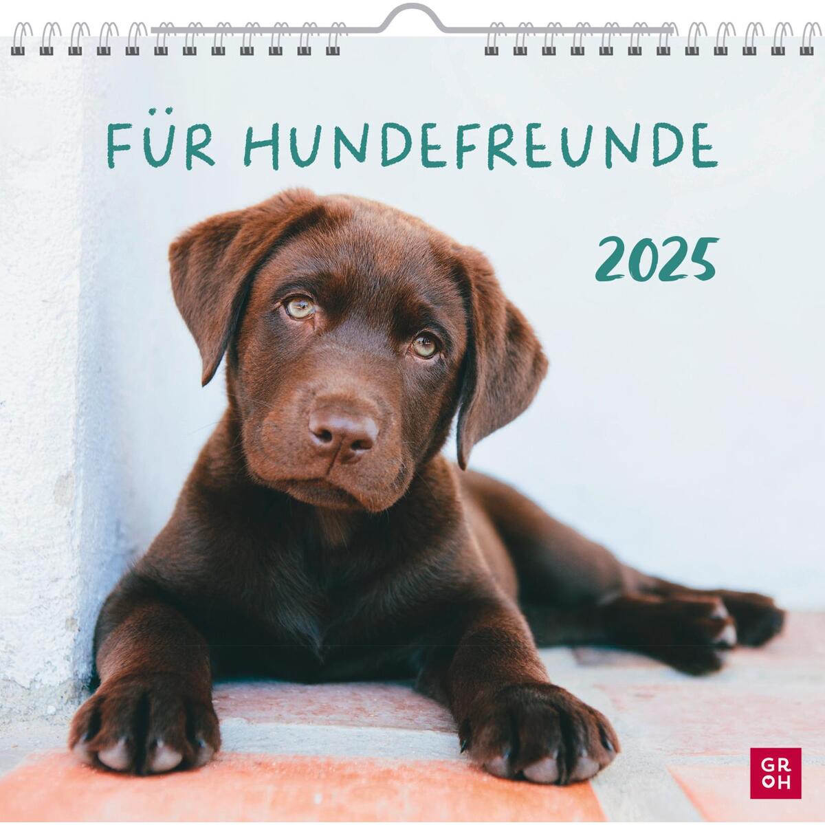 Wandkalender 2025: Für Hundefreunde von Groh Verlag