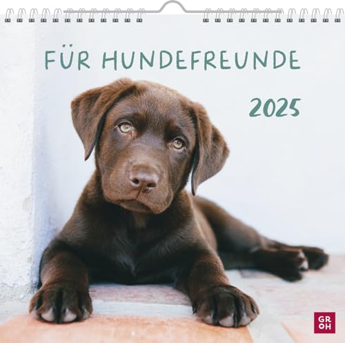 Wandkalender 2025: Für Hundefreunde: Hundekalender mit niedlichen Hundefotos und Zitaten für Hundeliebhaber. Monatskalender zum Aufhängen
