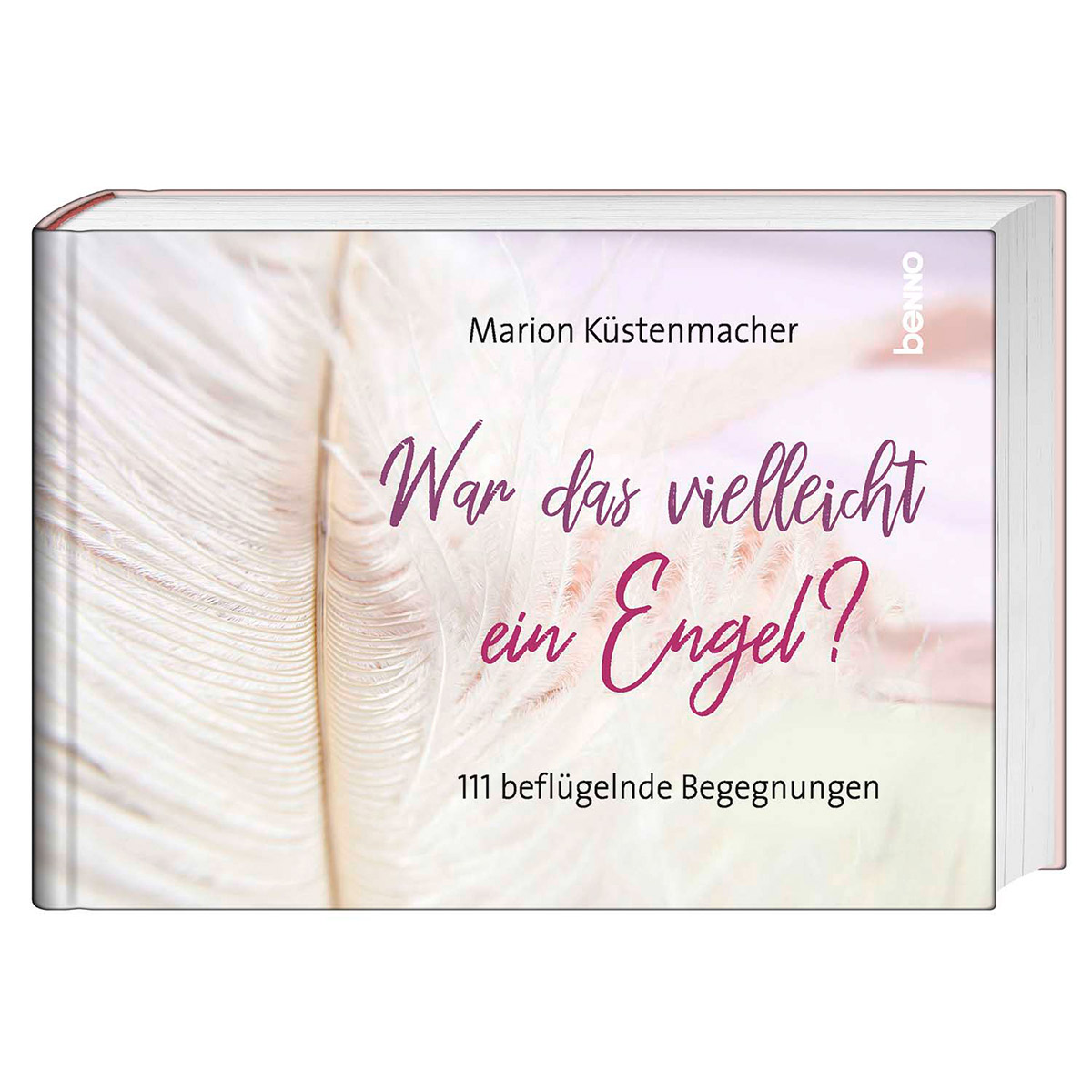 War das vielleicht ein Engel? von St. Benno Verlag