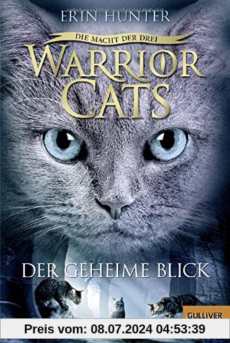 Warrior Cats - Die Macht der Drei. Der geheime Blick: III, Band 1