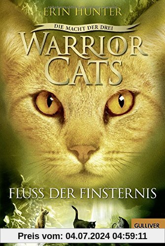 Warrior Cats - Die Macht der Drei. Fluss der Finsternis: III, Band 2