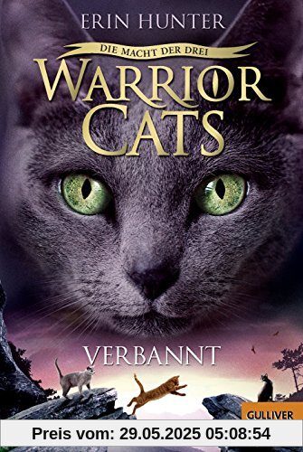 Warrior Cats - Die Macht der Drei. Verbannt: III, Band 3