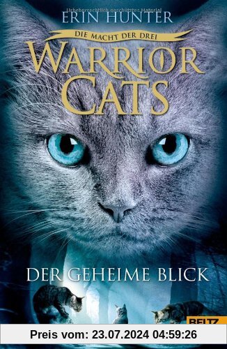 Warrior Cats - Die Macht der drei. Der geheime Blick: III, Band 1
