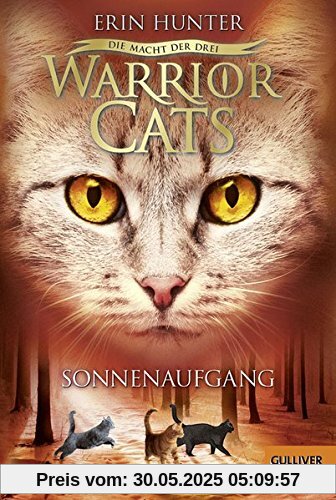 Warrior Cats - Die Macht der drei. Sonnenaufgang: III, Band 6 Warrior Cats - Die Macht der drei. Sonnenaufgang: III, Band 6