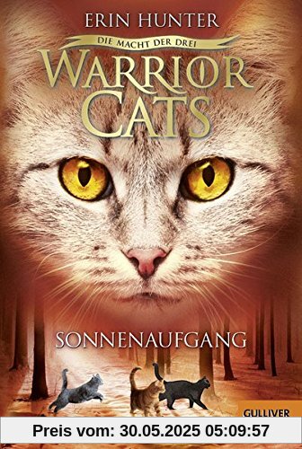 Warrior Cats - Die Macht der drei. Sonnenaufgang: III, Band 6