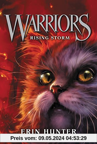 Warriors #4: Rising Storm (Warriors: The Prophecies Begin, Band 4)