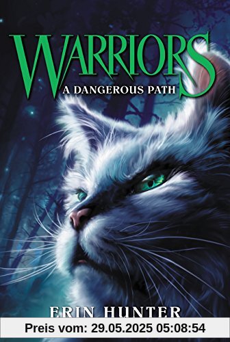 Warriors #5: A Dangerous Path (Warriors: The Prophecies Begin, Band 5)