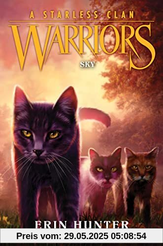 Warriors: A Starless Clan #2: Sky Warriors: A Starless Clan #2: Sky