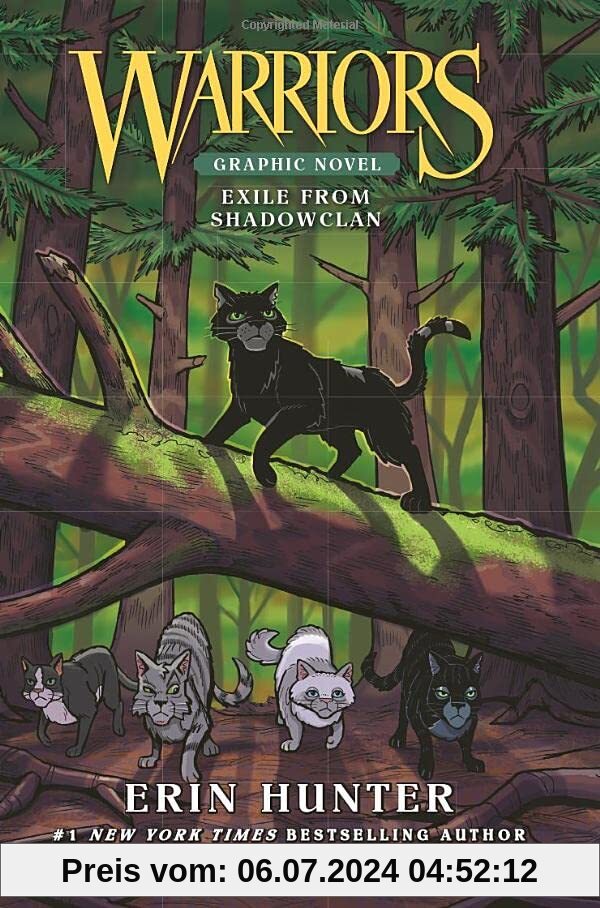 Warriors: Exile from ShadowClan (Warriors Graphic Novel)