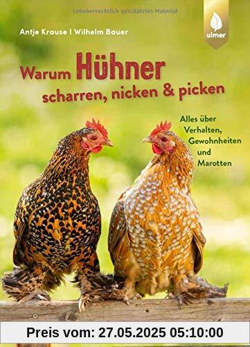 Warum Hühner scharren, nicken und picken: Alles über Verhalten, Gewohnheiten und Marotten